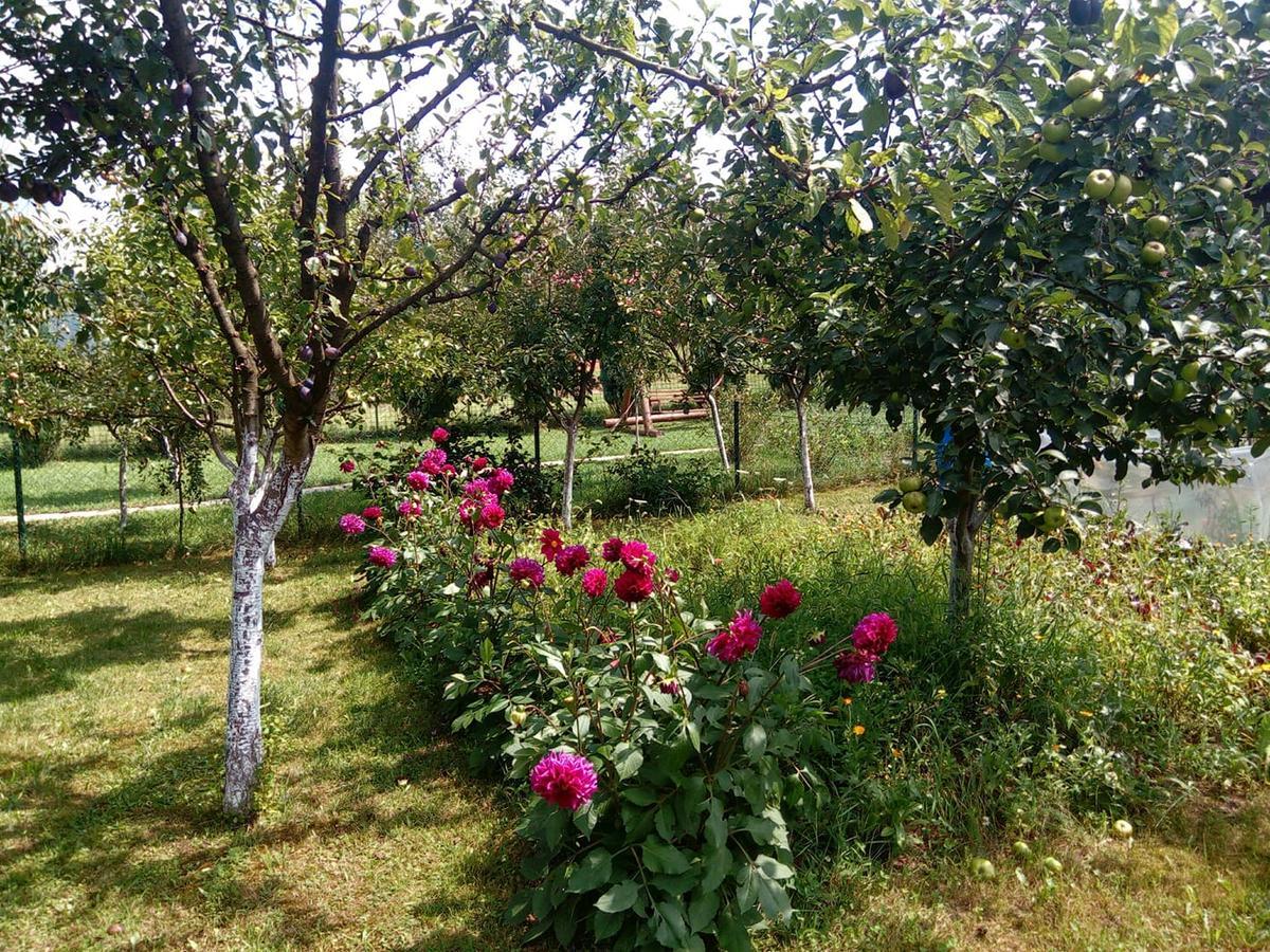 Sunny Paradise Bihac Exterior photo